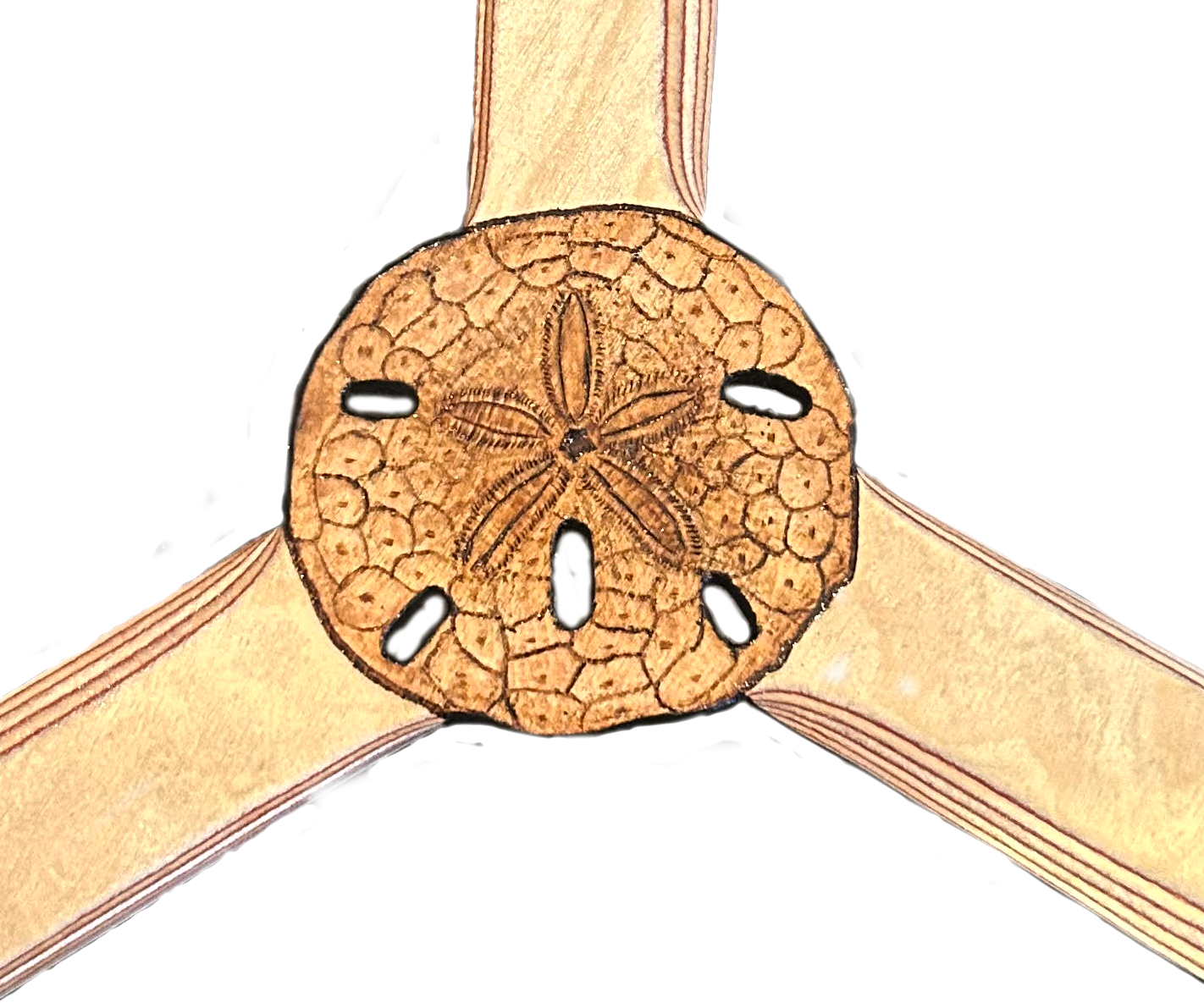 Sandollar Boomerang