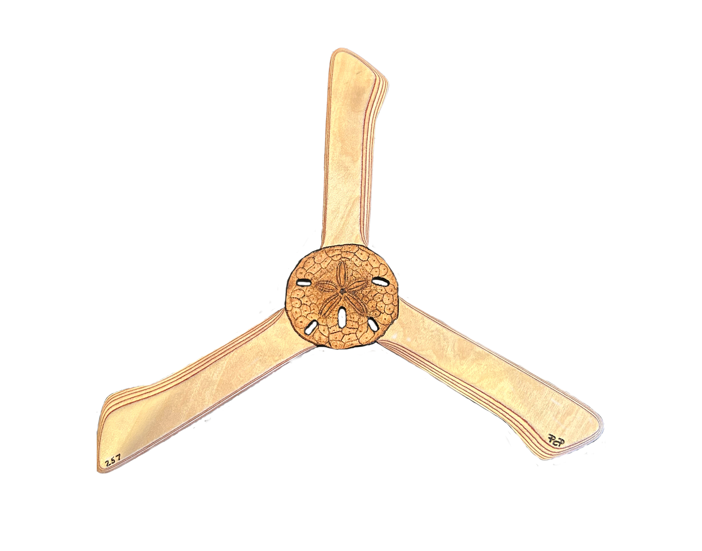 Sandollar Boomerang