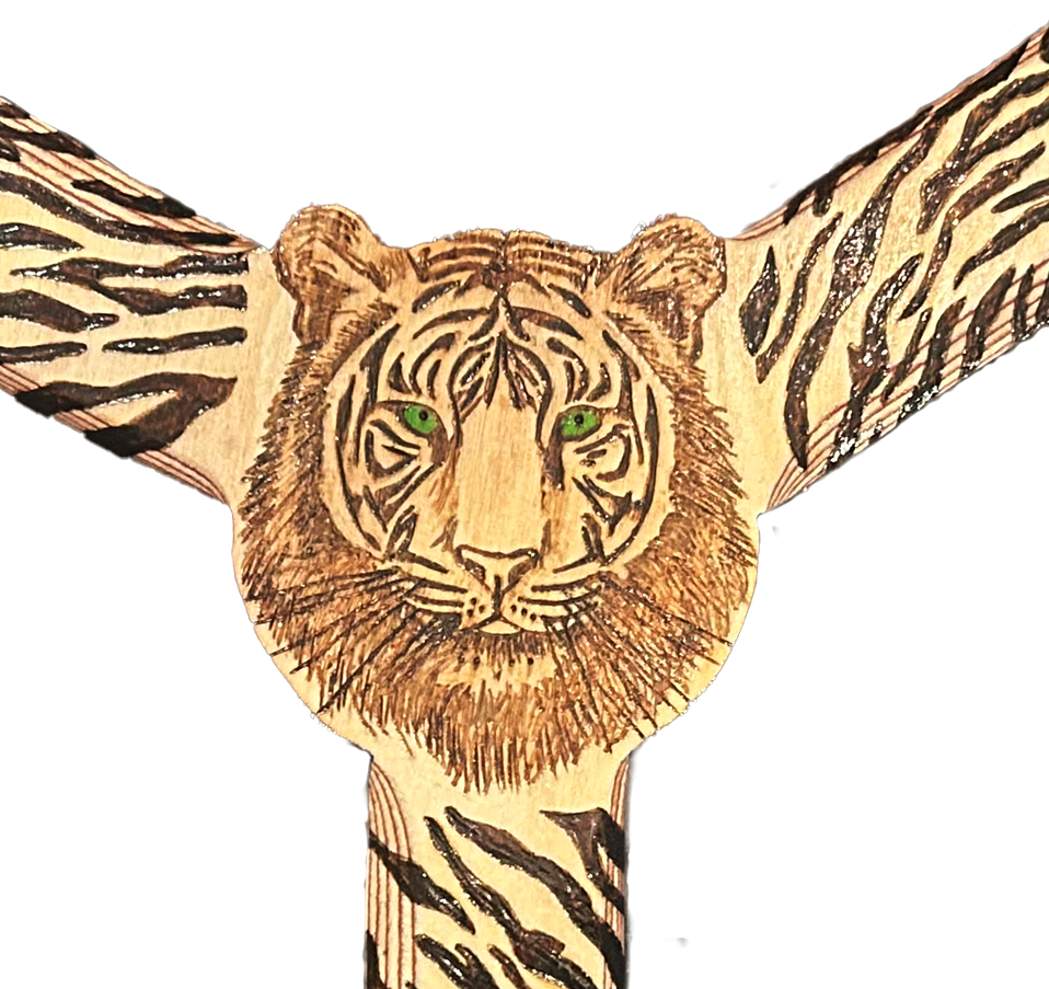 Tiger Boomerang