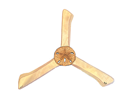 Sandollar Boomerang